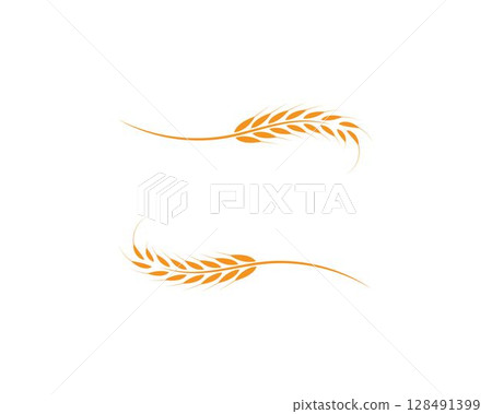 wheat Logo Template vector 128491399