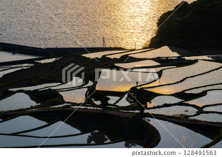 Spectacular view of the Genkai Sea: Tsuchiya Rice Terraces Spectacular view of the Genkai Sea: Tsuchiya Rice Terraces 128491563
