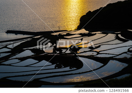 Spectacular view of the Genkai Sea: Tsuchiya Rice Terraces 128491566