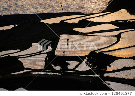 Spectacular view of the Genkai Sea: Tsuchiya Rice Terraces Spectacular view of the Genkai Sea: Tsuchiya Rice Terraces 128491577