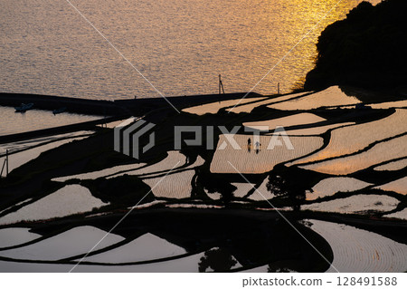 Spectacular view of the Genkai Sea: Tsuchiya Rice Terraces 128491588