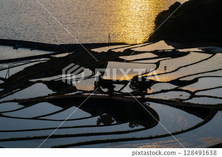 Spectacular view of the Genkai Sea: Tsuchiya Rice Terraces 128491638