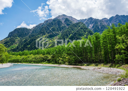 Scenery of Kamikochi "Fresh green larch forest and Mt. Rokuhyaku" 128491922