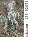 Winter landscape background 128492051