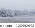 Winter landscape background 128492052