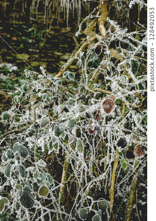 Winter landscape background 128492053
