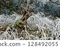 Winter landscape background 128492055