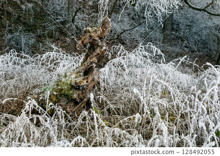 Winter landscape background Winter landscape background 128492055
