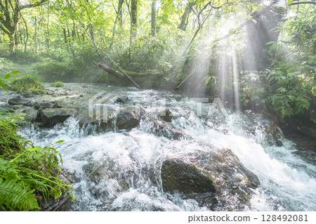 Fresh greenery in the forest, clear streams, and eco-images (Oyamakiyazawa mountain stream) Fresh greenery in the forest, clear streams, and eco-images (Oyamakiyazawa mountain stream) 128492081