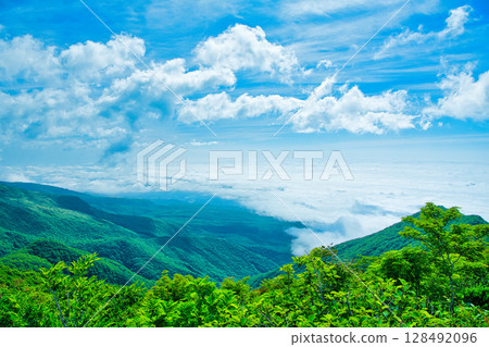 從栃木縣那須郡那鬚町南月山看到的雲海 128492096