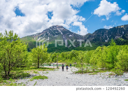 Scenery of Kamikochi (fresh greenery and Mount Yake) 128492260