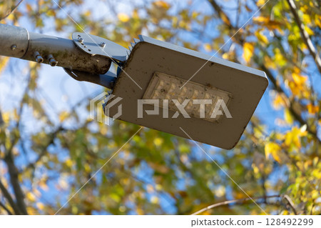 Bright street light shines down through colorful autumn leaves, providing warmth to the park on a clear day Bright street light shines down through colorful autumn leaves, providing warmth to the park on a clear day 128492299