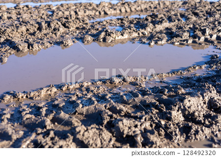 Rich brown mud exhibits rough texture with scattered patches of water, illuminated by sunlight in a rural landscape Rich brown mud exhibits rough texture with scattered patches of water, illuminated by sunlight in a rural landscape 128492320