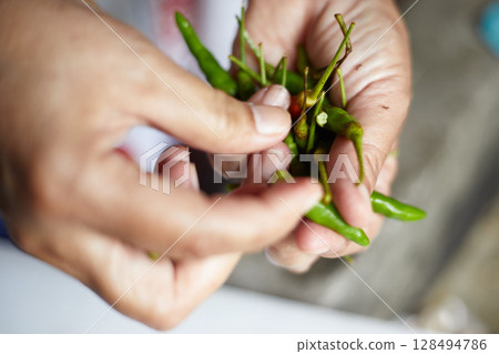 hand holding fresh green chili peppers hand holding fresh green chili peppers 128494786