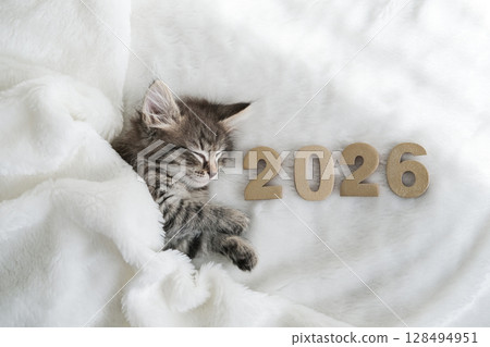 Cozy tabby kitten sleeps soundly under a white blanket with 2026 written in golden numbers next to it, symbolizing peaceful new year or beginning 128494951