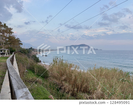 seashore tall grass autumn cloudy. High quality photo seashore tall grass autumn cloudy. High quality photo 128495091