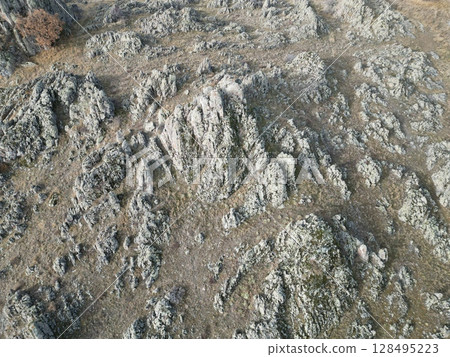 bare rocks nature autumn tree yellow. High quality photo 128495223