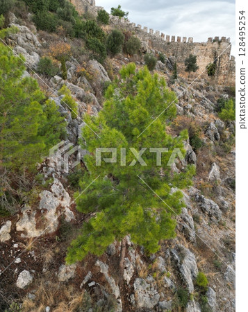 fortress on a rock near the sea coast 128495254