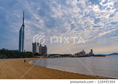 (Fukuoka Prefecture) Fukuoka Tower as seen from Seaside Momochi Seaside Park 128495364