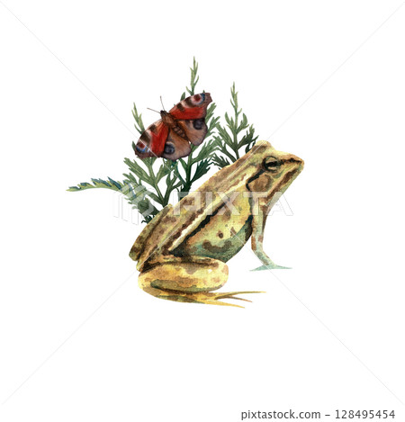 Watercolor composition consisting of a frog in the grass with butterfly 128495454