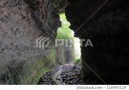 伊奧基洞穴深處，蕨類植物山谷的入口 128495529