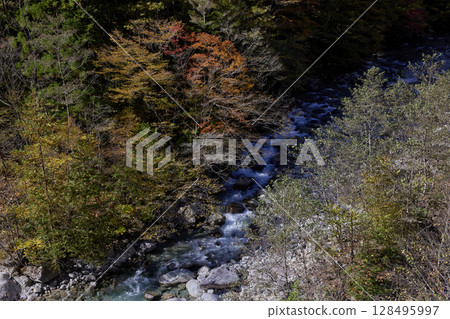 Autumn leaves and clear streams in Tsukechi Valley Autumn leaves and clear streams in Tsukechi Valley 128495997