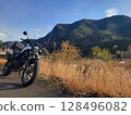 Scenery of silver grass during a tour 128496082