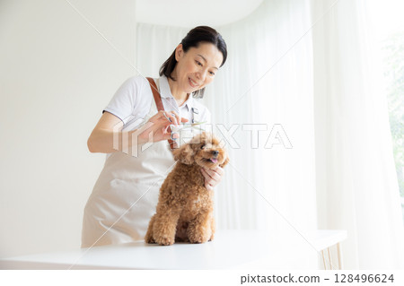 Groomer: A groomer trimming a toy poodle Groomer: A groomer trimming a toy poodle 128496624