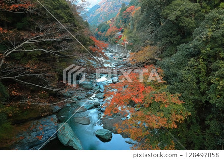 [Tokushima Prefecture] Autumn leaves (Kazura Bridge in Iya) 128497058