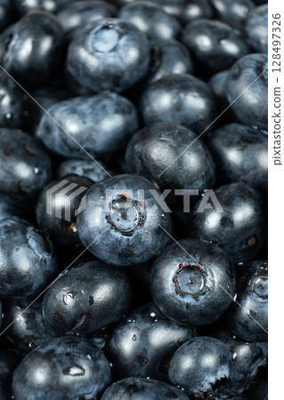 Vertical berry background of fresh blueberries with water droplets Vertical berry background of fresh blueberries with water droplets 128497326