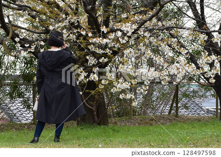 漫步於花井備中神建造的大鷹城遺址 漫步於花井備中神建造的大鷹城遺址 128497598