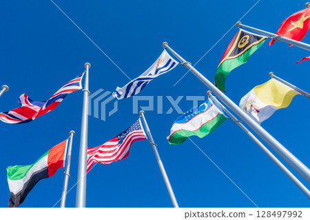 Osaka City: The national flag hoisted at the Osaka Kansai Expo Osaka City: The national flag hoisted at the Osaka Kansai Expo 128497992