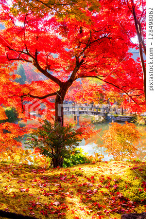 Autumn leaves at Eikando Temple, Kyoto Autumn leaves at Eikando Temple, Kyoto 128498062