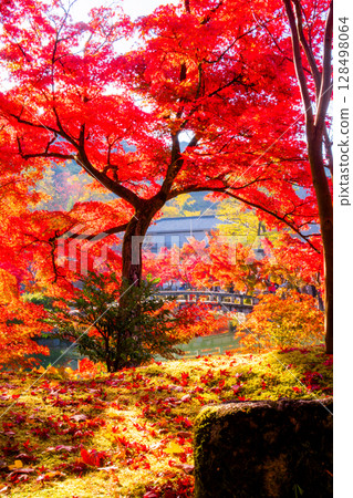 京都永觀堂的秋葉 京都永觀堂的秋葉 128498064