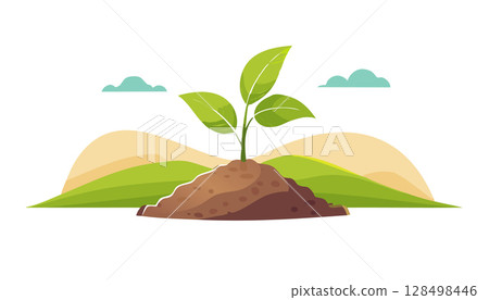 Green seedling growing on a hill landscape symbolizing growth environment and sustainability. 128498446