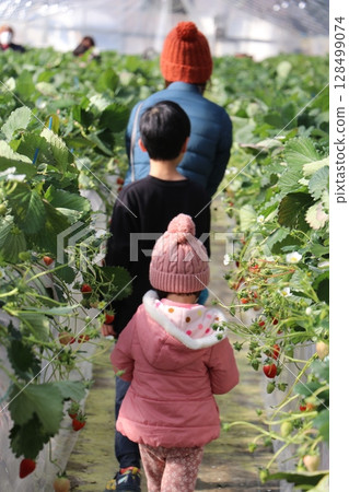 山口縣 Sukane 水果公園、草莓採摘、豪華露營 128499074