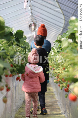 山口縣 Sukane 水果公園、草莓採摘、豪華露營 128499075