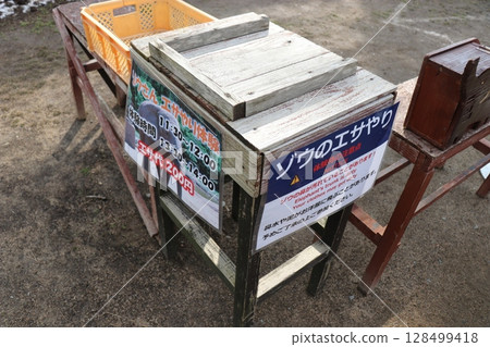 山口縣秋吉台自然動物園積雪，寒流來襲，大象餵食 128499418