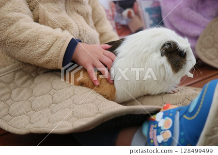 Yamaguchi Prefecture: Akiyoshidai Natural Zoo Safari Land, Fureai Hiroba 128499499