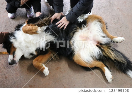 山口縣：秋吉台自然動物園野生動物園、交流廣場 128499508