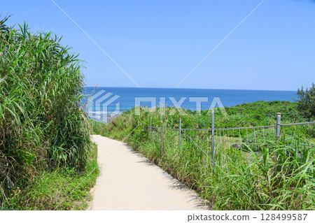 通往大海的路 128499587