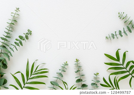 Table palm and eucalyptus green frame Table palm and eucalyptus green frame 128499787