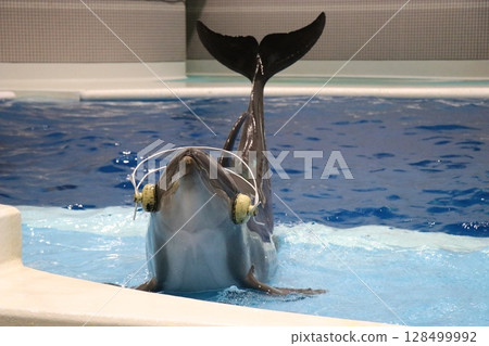 Kagoshima City, Kagoshima Prefecture Io World Kagoshima Aquarium 128499992