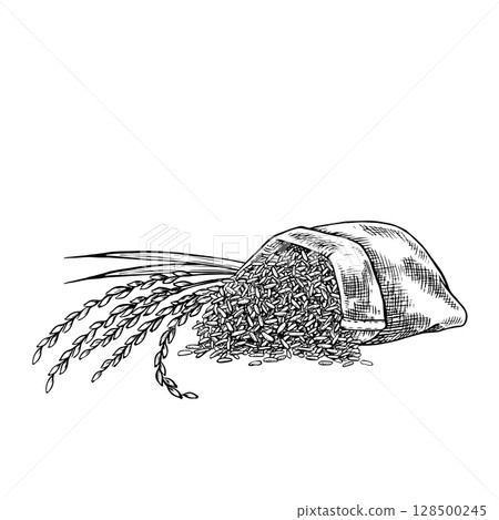 Burlap bags of rice and rice stalks next to them. Black and white graphics, vector illustrations. Design element for menus, recipes, and cookbooks. For banners, flyers, packaging, labels, and more. 128500245