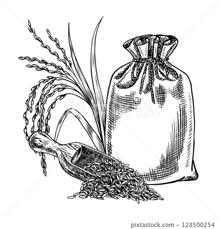 Burlap bags and a wooden scoop with rice or oats, wheat or rye. Black and white graphics, vector illustrations. Design element for menus, recipes and cookbooks. For banners, flyers, packaging, labels. 128500254