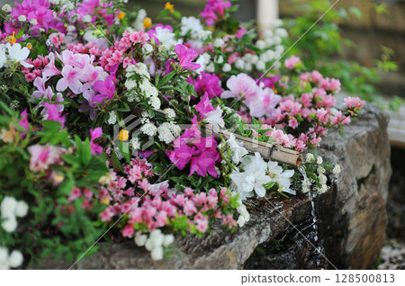 岡山縣倉敷市阿智神社 128500813