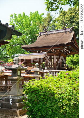 岡山縣倉敷市阿智神社 128500822