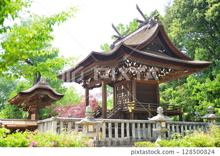 岡山縣倉敷市阿智神社 128500824