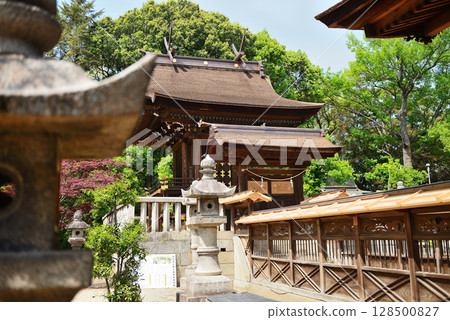岡山縣倉敷市阿智神社 128500827