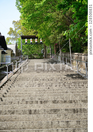 岡山縣倉敷市阿智神社 128500831